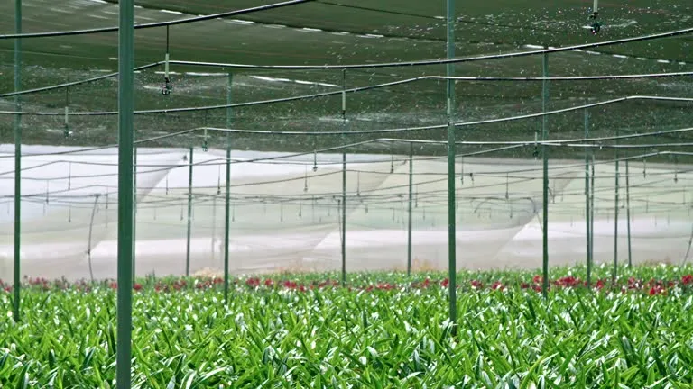 20260306Reports for Sunshade Nets.png